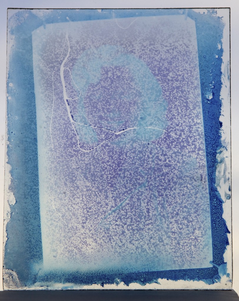 Cyanotype on Glass