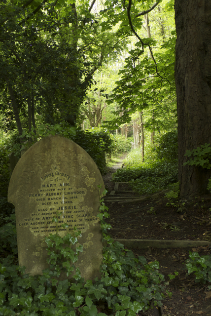 Highgate Paths