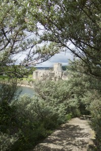 Inchcolm Abbey from fortifications