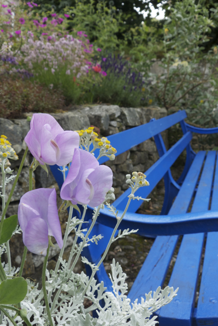 Culross Garden 1